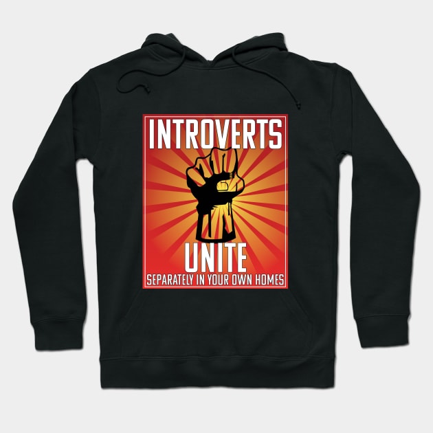 Introvert - Introverts Unite Separately In Your Own Homes Hoodie by Kudostees